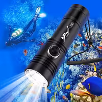 چراغ قوه غواصی ضد آب 1500 لومن دو چراغ BlueFire Diving Flashlight,Dual Lights 1500 Lumen Waterproof Diving Torch
