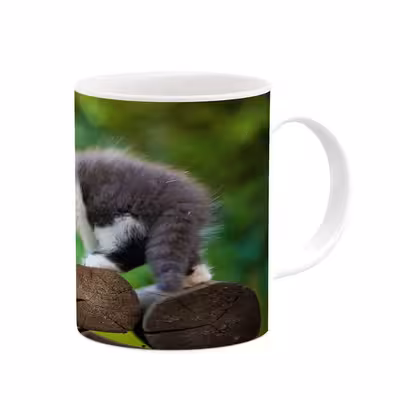 ماگ کاکتی طرح گربه مدل mgs14423