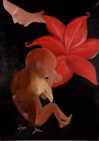 فرزندی که به دنیا نیامد