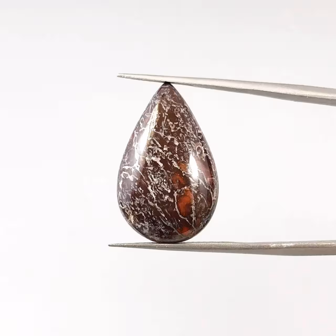 نگین فسیل استخوان دایناسور اشکی 251489