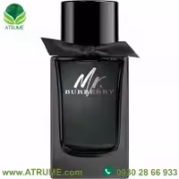 عطر ادکلن باربری مستر باربری ادو پرفیوم 100 میل مردانه