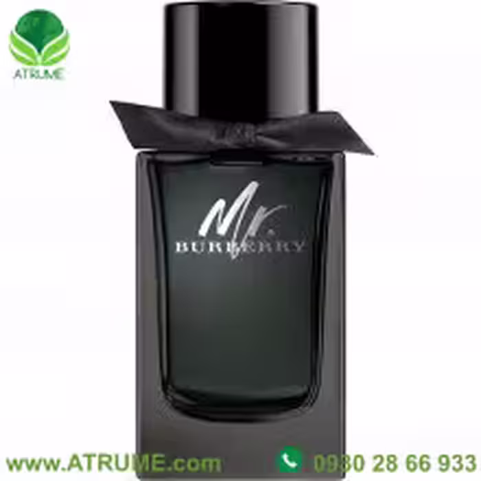 عطر ادکلن باربری مستر باربری ادو پرفیوم 100 میل مردانه