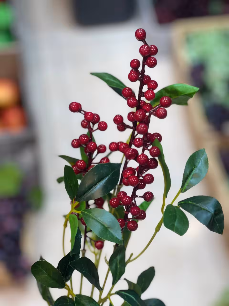 شاخه زالزالک قرمز