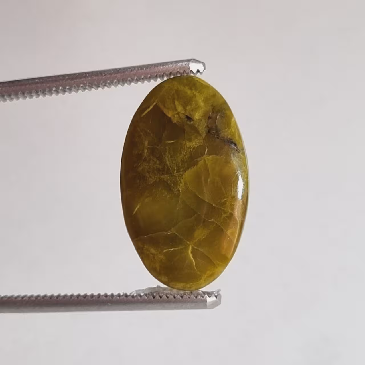 اوپال سبز بیضی شناسه 8795