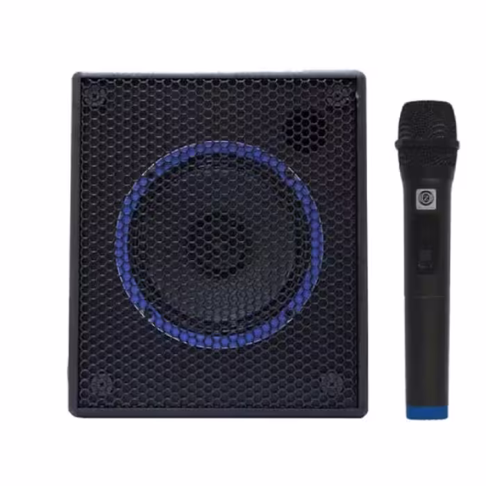 اکو همراه 6 اینچ باسیم زیکو Zico Z-16