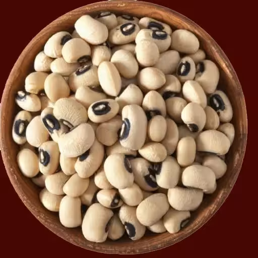 لوبیا چشم بلبلی یک کیلویی گیاهینو