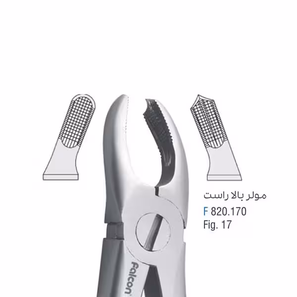 مولر بالا راست - falcon