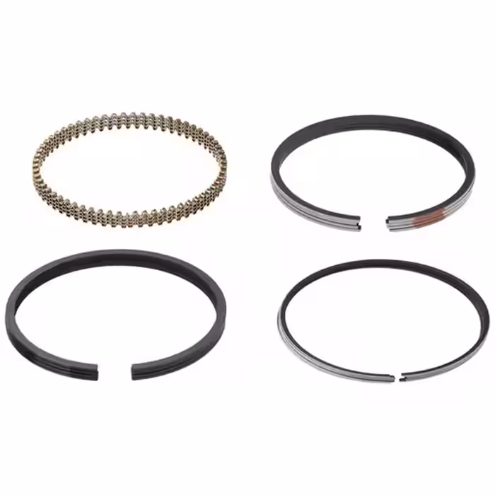 خرید رینگ پیستون پژو 405 ایساکو (هاستینگ usa شرکتی) چهار عددی 800302299 | اتوموبی