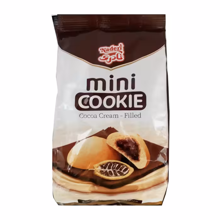 مینی کوکی پاکتی شکلاتی نادری 115 گرمی