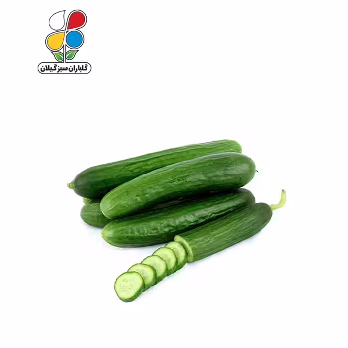 بذر خیار بسته بندی بزرگ