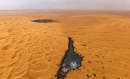 تحقیق انواع کويرهاي ايران