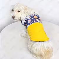 پافر آستردار سگ و گربه مدل فضانورد