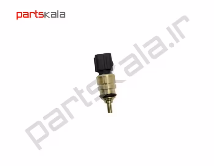 فشنگی آب کیا کادنزا