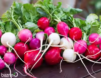بذر تربچه میکس