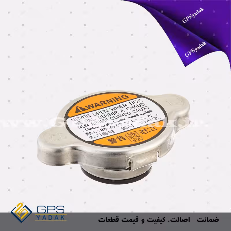 درب رادیاتور کیا پیکانتو