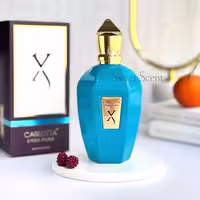 عطر ادکلن زرجف-زرژاف اربا پورا کارلوتا | Xerjoff Erba Pura Carlotta حجم 100 میل(شرکتی)