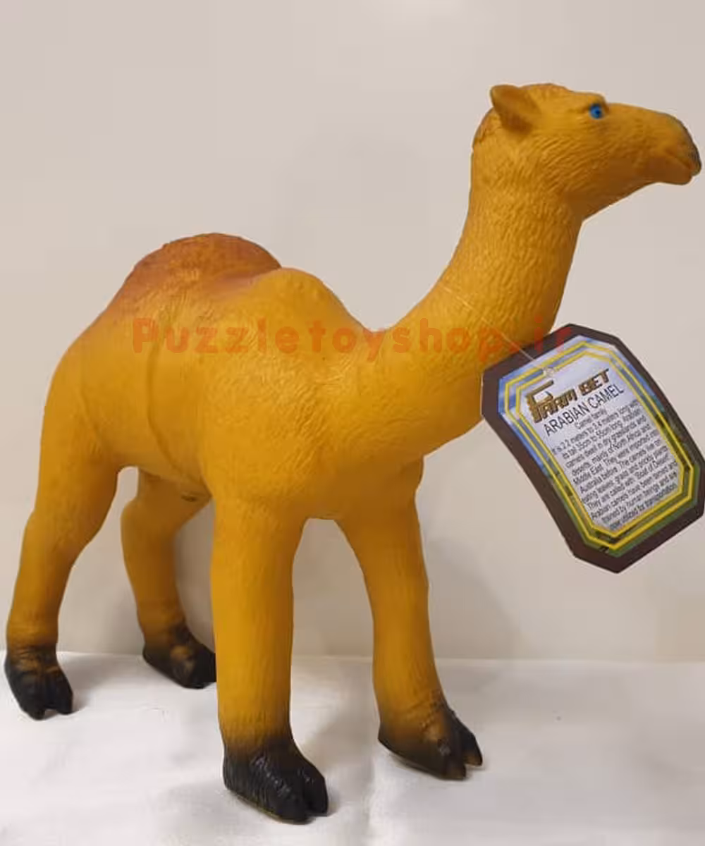 فیگور شتر