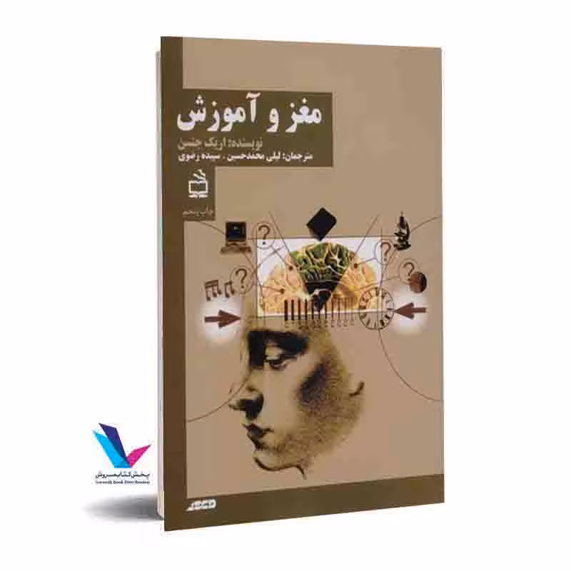 مغز و آموزش