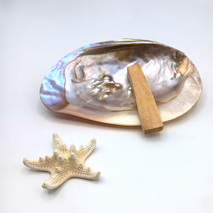 چوب پالوسانتو اکوادور و صدف مادر