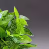 گل مصنوعی مدل بوته برگ لمسی طرح گردو