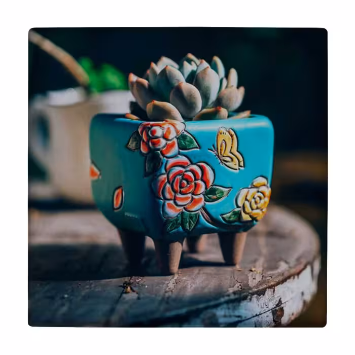 زیر لیوانی طرح گلدان کاکتوس کد    3238079_337