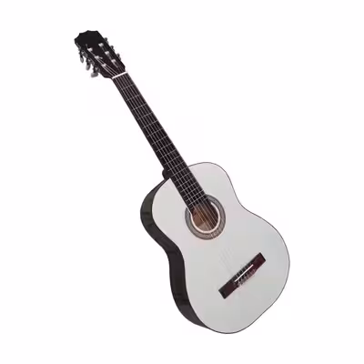 گیتار کلاسیک یونیک مدل C800 کد U1