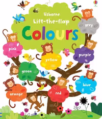کتاب Usborne lift the flap Colours