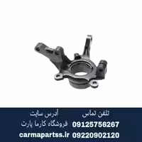 سگدست راست شاهین