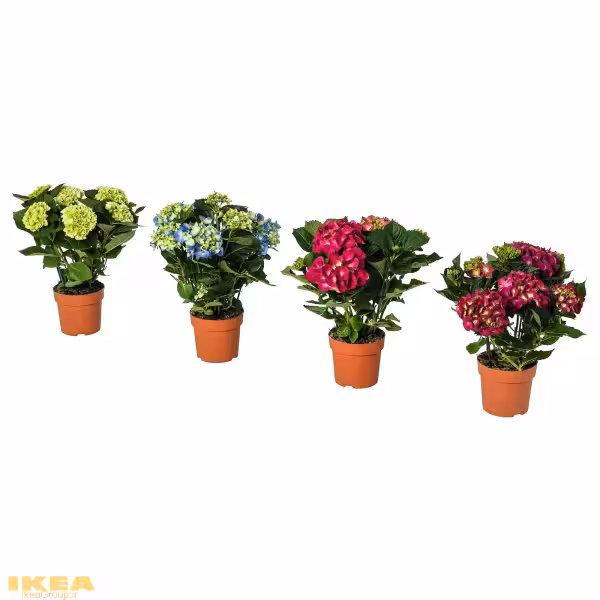 گلدان مصنوعی 4رنگ متفاوت مدل HYDRANGEA | برند ایکیا | ارسال 15 الی 20 روز کاری
