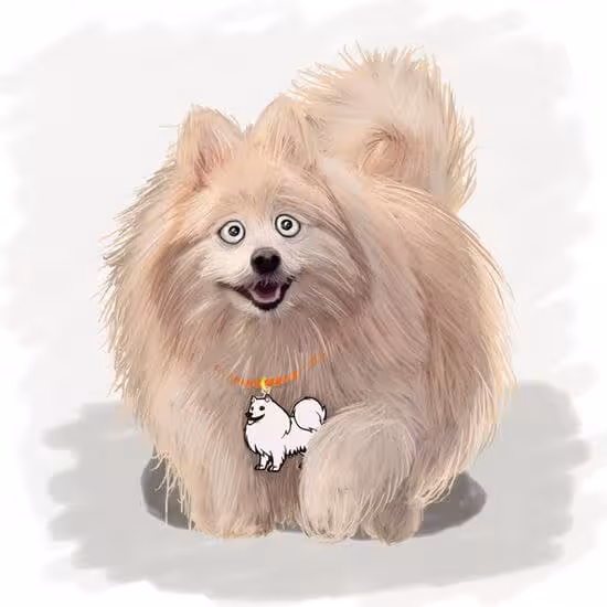 آویز قلاده استیل طرح سگ نژاد 26 کد CD-26