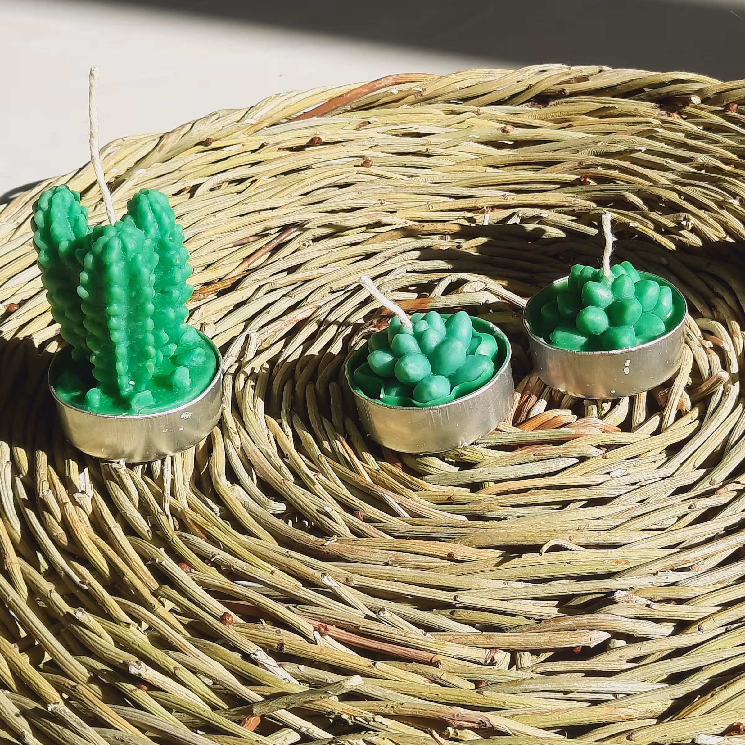 شمع کاکتوس دست ساز دکوری زیبا 