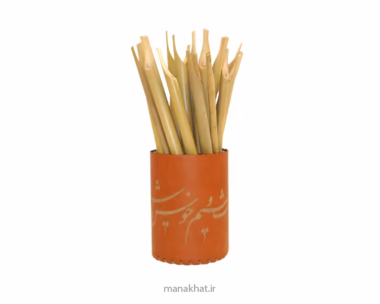 قلم بامبو ویژه طرح ساده