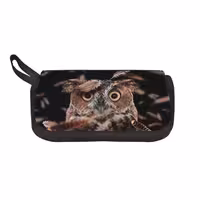 خرید و قیمت جامدادی  طرح جغد کد 6667