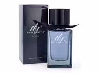 عطر و ادکلن مردانه باربری مستر باربری ایندیگو burberry mr burberry indigo