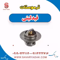 ترموستات فیدلیتی