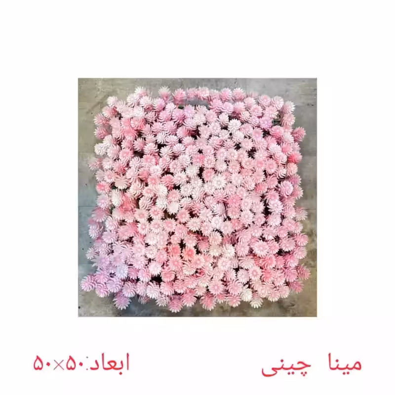 گرین وال (دیوار سبز) مینا صورتی سفید 50در50 cm (پس کرایه)