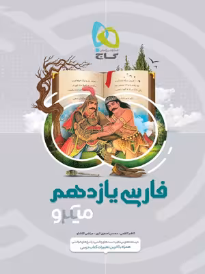 ادبیات فارسی یازدهم میکرو گاج