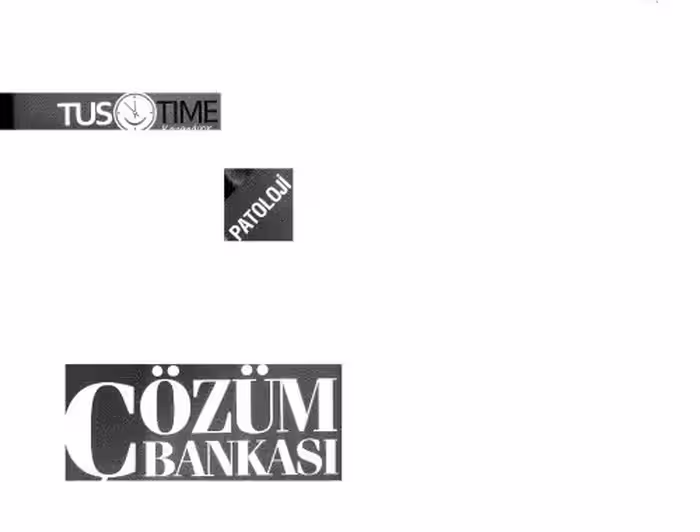 خرید و دانلود نسخه کامل کتاب Tustime Patoloji Çözüm Bankası