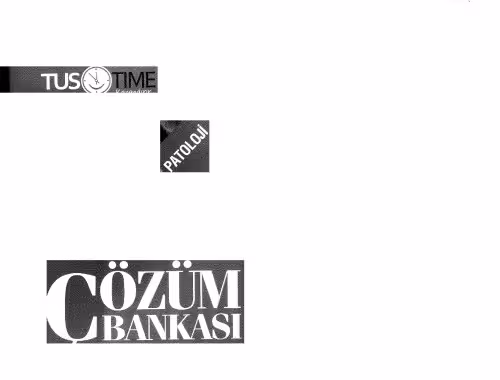 خرید و دانلود نسخه کامل کتاب Tustime Patoloji Çözüm Bankası