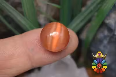 چشم گربه چینی