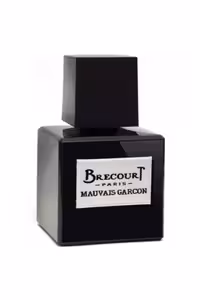 عطر ادکلن برکورت موویز گارسون | Brecourt Mauvais Garcon