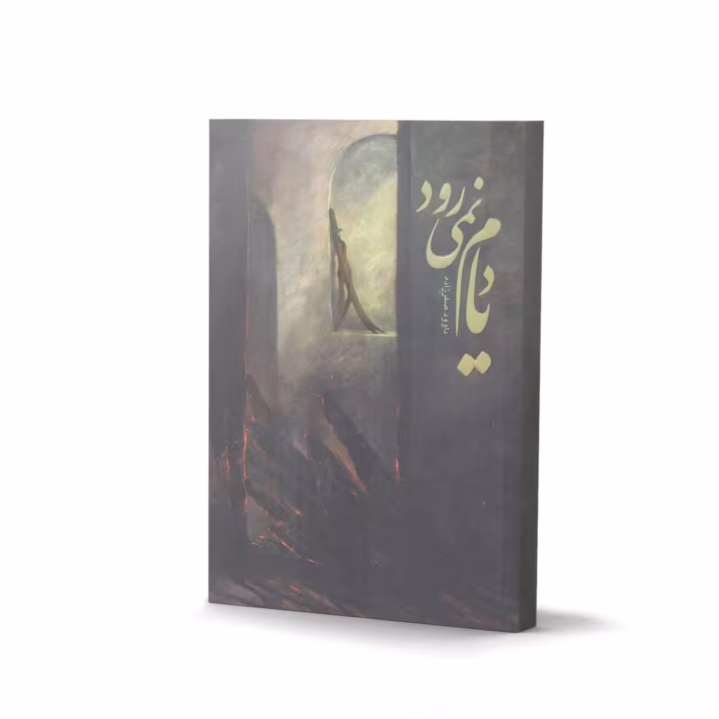 کتاب یادم نمی رود به قلم داوود صفرزاده