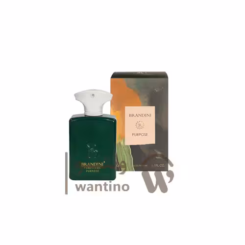عطر ادکلن آمواج پرپس (Brandini Amouage Purpose ) حجم 33 میل