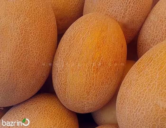 بذر خربزه آتشی