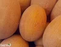 بذر خربزه آتشی