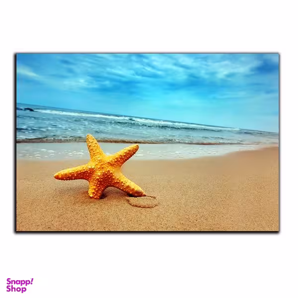 تابلو شاسی بکلیت طرح ستاره دریایی مدل SH-s1230