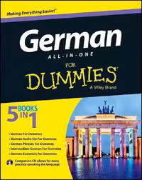 کتاب آلمانی جرمن آل این وان فور دامیز German All in One For Dummies