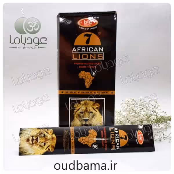 12 عدد عود شیر آفریقایی 7AFRICAN LIONS ( بیک BIC ) پاکسازی محیط و فنگ شویی