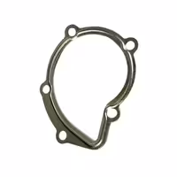 خرید واشر واتر پمپ پژو 405 XU7 دینا پارت | اتوموبی