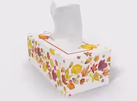 جعبه دستمال کاغذی طرح پاییز | گرافیک با طعم تربچه